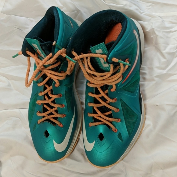 miami dolphin lebrons